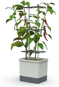 Gusta Garden Charly Chili XL samozavlažovací kvetináč, svetlo-sivý