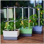 Gusta Garden Charly Chili XL samozavlažovací kvetináč, tmavo-zelený