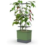 Gusta Garden Charly Chili XL samozavlažovací kvetináč, tmavo-zelený