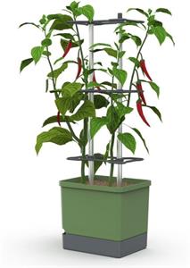 Gusta Garden Charly Chili XL samozavlažovací kvetináč, tmavo-zelený