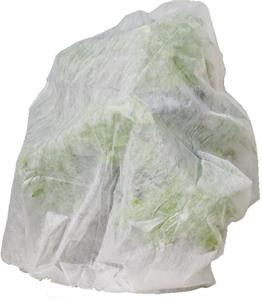 Gusta Garden PAUL POTATO kryt proti mrazu