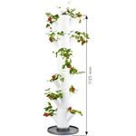 Gusta Garden Sissi Strawberry classic samozavlažovací kvetináč, 6 poschodí, antracit