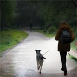 Hama FL120, LED baterka, hliníková, 120 lm / 50 m, 3 režimy svietenia, pútko na ruku, vrátane batérií