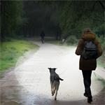 Hama FL250, LED baterka, hliníková, 250 lm / 65 m, 4 režimy+SOS, rozptyľovač, pútko, batérie