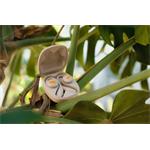 House of Marley Liberate Open Ear, bezdrôtové slúchadlá, čierne