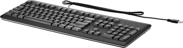 HP 2004 Standard Keyboard USB Slovak