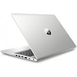 HP ProBook 455 G7, 12X19EA, strieborný