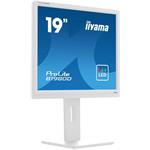 iiyama ProLite B1980D-W5, 19"