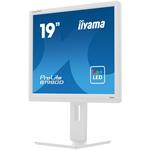 iiyama ProLite B1980D-W5, 19"