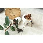 Imou Ranger Dual 10MP