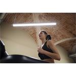 JBL Endurance Run 3 White