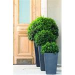 Keter Rattan Planter M 55, kvetináč, 4 l, grafitový
