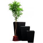 Keter Rattan Planter S 23, kvetináč 6 l, grafitový