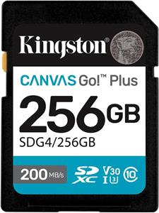 Kingston Canvas Go Plus Gen 4, 256 GB