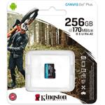 Kingston Canvas Go Plus microSDXC 256 GB