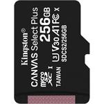 Kingston Canvas Select Plus, micro SDXC, 256GB