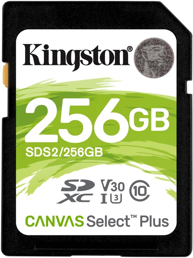 Карта памяти sdxc kingston canvas go plus 256 гб sdg3 256gb