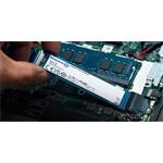 Kingston NV2, SSD PCIe 4.0 NVMe M.2, 500 GB, rozbalená