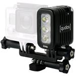 KNOG Qudos Action Light Black