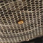 Lauben Glass&SteamAir® Fryer 4500BG, teplovzdušná fritéza