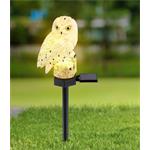 LED Solárne svietidlo LED/0,06W/3V IP44 sova