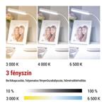 LED stolná lampa MOLLY, biela