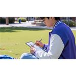 Lenovo Idea Tab Plus, 12.1", 256 GB, ZAG70453CZ, Cloud Grey