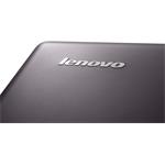 Lenovo IdeaPad U310 (59-350423)