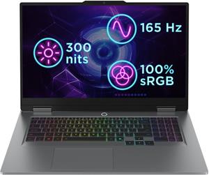 Lenovo LOQ 17IRX10, 83JH0021CK, sivý
