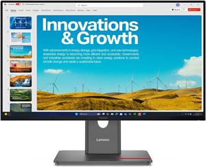 Lenovo ThinkVision P24QD-40, 23.8"