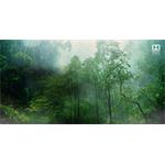 LG 75SK8100PLA, 75", 4K, Cinema HDR