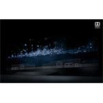 LG OLED OLED65E8PLA, 65", 4K, HDR 10