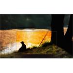LG OLED OLED65E8PLA, 65", 4K, HDR 10