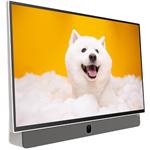 METZ 24MPE7000Z, Portable TV, 24" (60cm), SMART LED TV