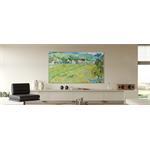 METZ 55MUE7800Z, Art TV, QLED+, 55" (139cm), 4K, matný displej