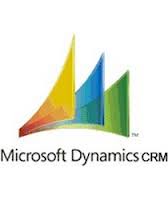 Microsoft Dynamics CRM Workgroup Server SNGL Lic/SA OLP NL Qlfd