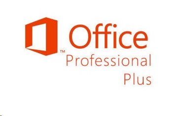Microsoft Office Professional 2016 OLP NL AE (pre školy)