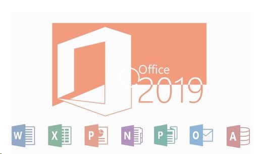 Microsoft Office Professional Plus 2019 OLP NL