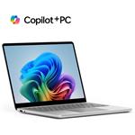 Microsoft Surface Laptop 13", X Plus, 24 GB, 1 TB, Platinum