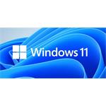 Microsoft Windows 11 Home, 64-bit Slovak, USB, FPP