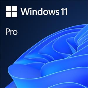 Microsoft Windows 11 Pro, 64Bit, ENG, DVD, OEM