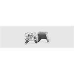 Microsoft Xbox Wireless Controller, Arctic Camo Special Edition, (rozbalené)