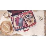 Motorola Moto G60, 128 GB, Dual SIM, čierny