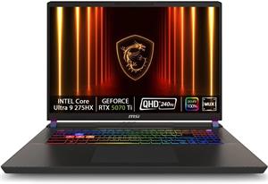 MSI Vector 17 HX AI, A2XWJG-031, sivý