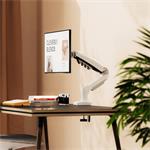 NB F80W, držiak na monitor 15" - 30", biely
