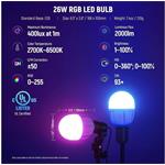 Neewer NK800 softbox stojan kit, sada 2x trvalé RGB LED fotosvetlo, 2x softbox, 2x 26W LED