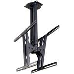 Newstar Flatscreen Ceiling Mount, nástenný držiak pre 2 monitory, TV, 37 - 75"