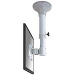 Newstar LCD ceiling mount - 37-47cm - 10-26