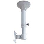 Newstar LCD ceiling mount - 37-47cm - 10-26