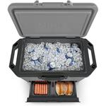 Ninja FB151EUGY Frost Vault, Chladiaci box, 47l, sivý